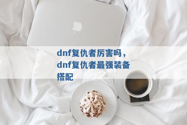 dnf复仇者厉害吗，dnf复仇者最强装备搭配